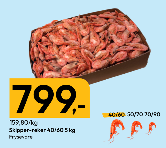 Når størrelsen teller!