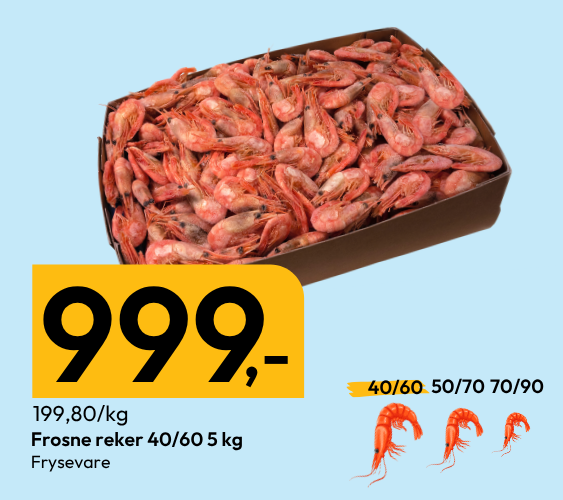 Når størrelsen teller!